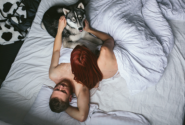 A post-coital couple lies in bed next to their dog. 