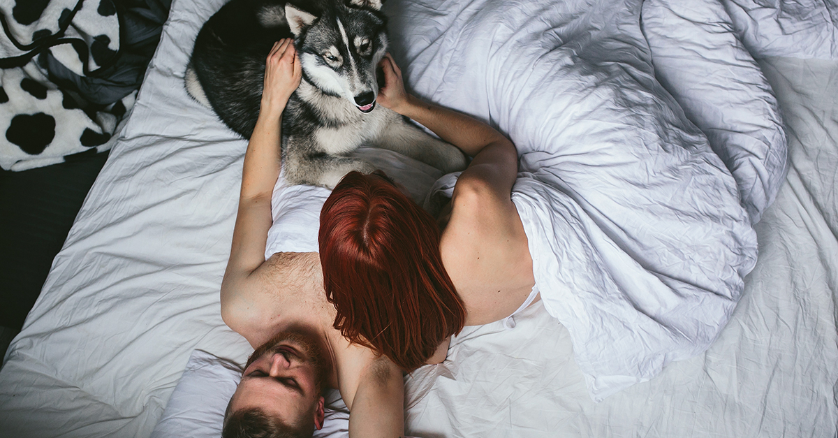 Couples Sex With Dog Beastality - Should Dogs Be Allowed in the Bedroom During Sex?