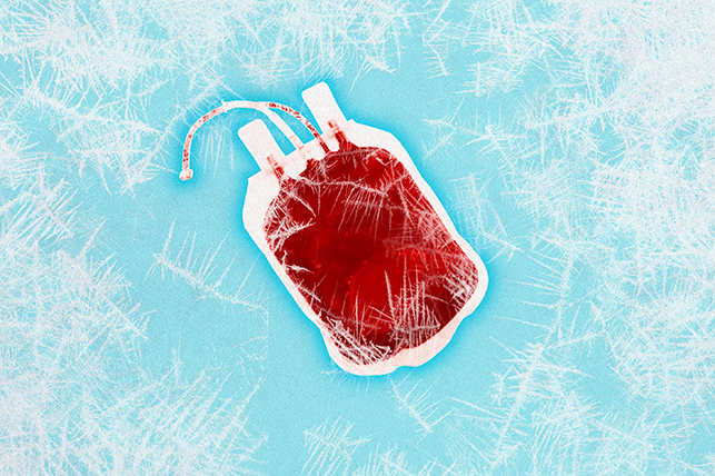A blood bag lays against ice.