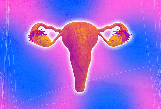 The female reproductive system is displayed against a blue and pink cloudy background.