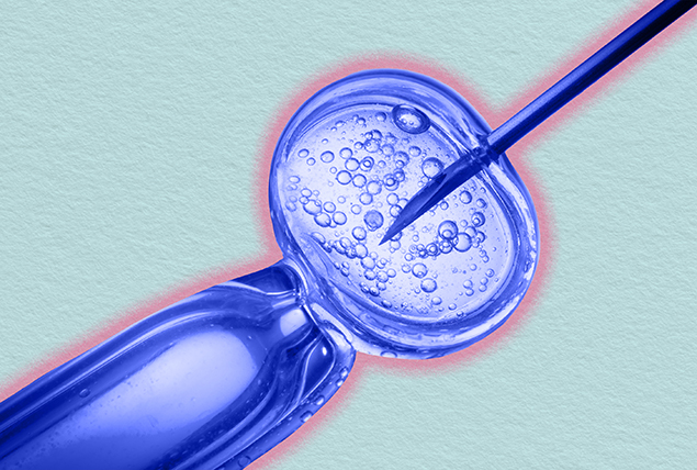 A needle inserts eggs during IVF.