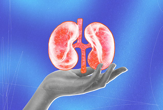 A red x-ray of a kidney is held in a grey open palm against a cloudy blue background.