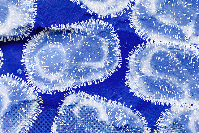 White monkeypox virus cells are against a blue cloth surface.