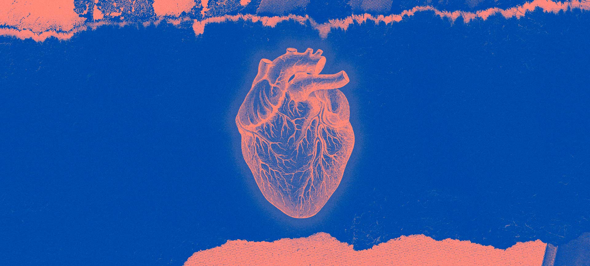 A human heart is outlined in light orange against a blue background.