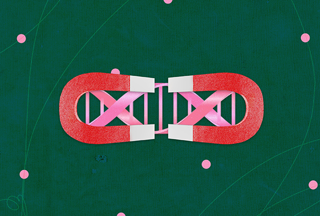 Two red magnets with white tips are turned toward each other over a pink DNA strand.