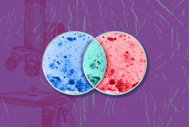 A red petri dish an da blue petri dish overlap like a venn diagram with a green center against a purple background.