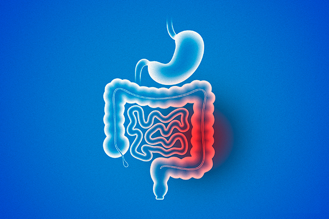 a digestive system system on a blue background a single red spot is highlighted
