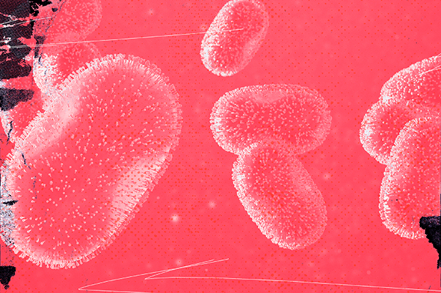 Pink monkeypox cells float around in a pink liquid.