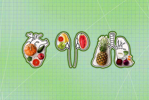 Three outlines of organs are drawn against a green background with various fruit and vegetables sit inside of them.