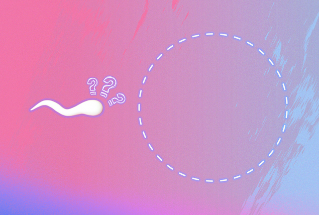 a sperm with question marks approaches an egg on a pink background 
