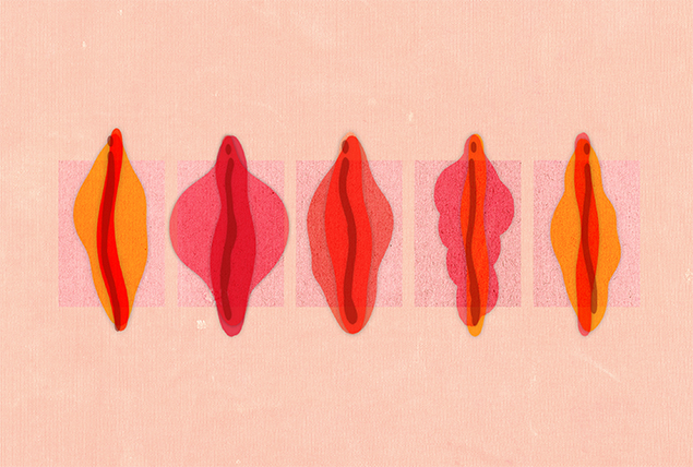 A row of five different shapes of labia are in different hues of red against a peach background.