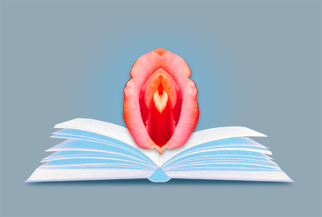 A book lays open on a grey surface with a bright red vulva in the middle.
