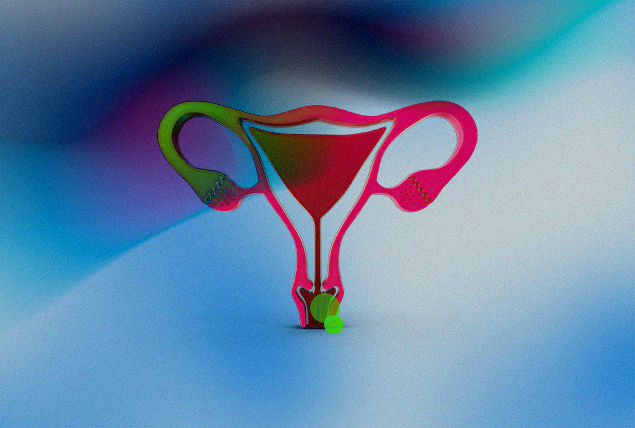 A pink female reproductive system has green lens flares near the vulva.
