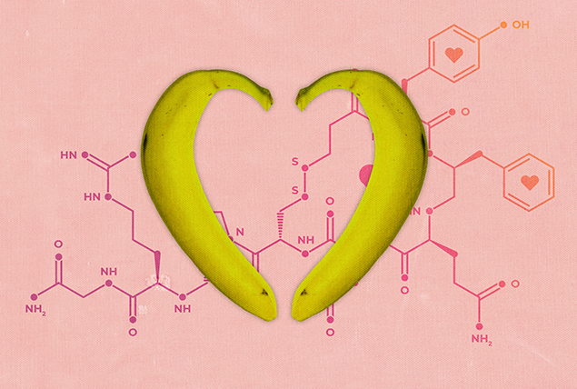 Two bananas are shaped into a heart against a peach background of a hormone map.