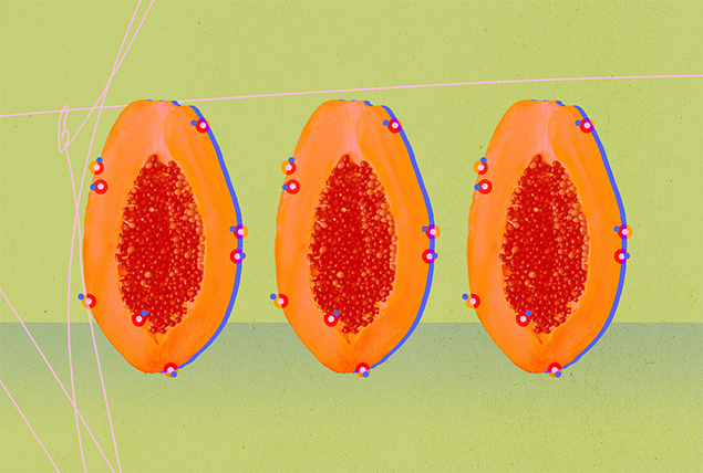 Little red dots are around the outside of three halves of papaya.