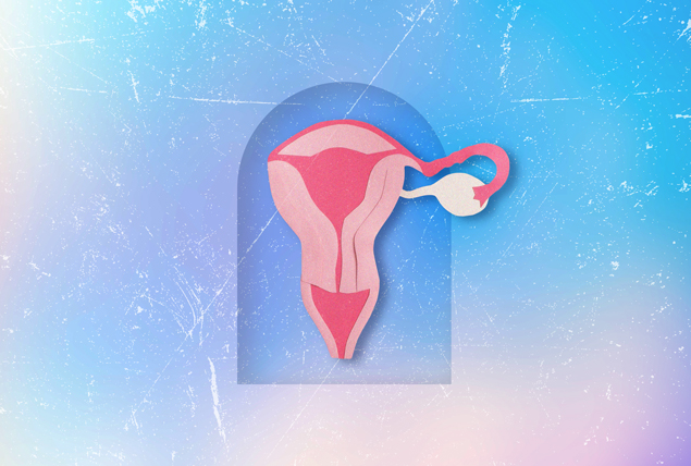 a uterus with one ovary on a marbled blue and pink background