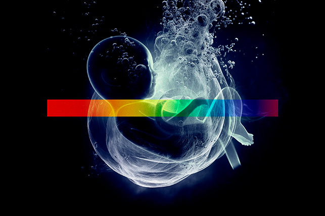x ray vision of fetal baby in fluid with some bubbles with a color spectrum stripe 