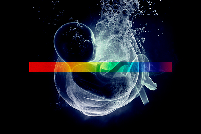 x ray vision of fetal baby in fluid with some bubbles with a color spectrum stripe