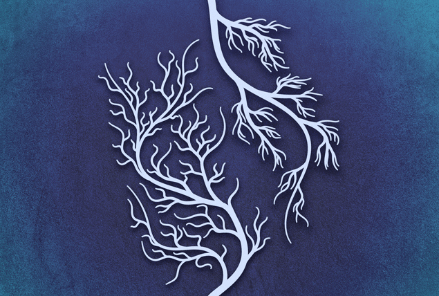 Two blood veins lay against a blue background in opposite directions as blood flows in and out of them.