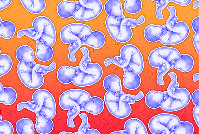 Purple fetuses are in a pattern against a gradient background of red to yellow.