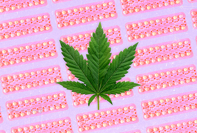 A marijuana leaf is against a pink background of birth control packets.