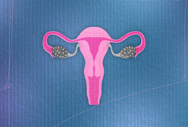 pink female reproductive system with ovaries in grayscale on blue textured background