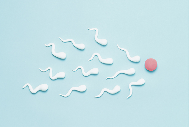 white sperm shaped clay snakes around red clay ball resembling human egg on light blue background