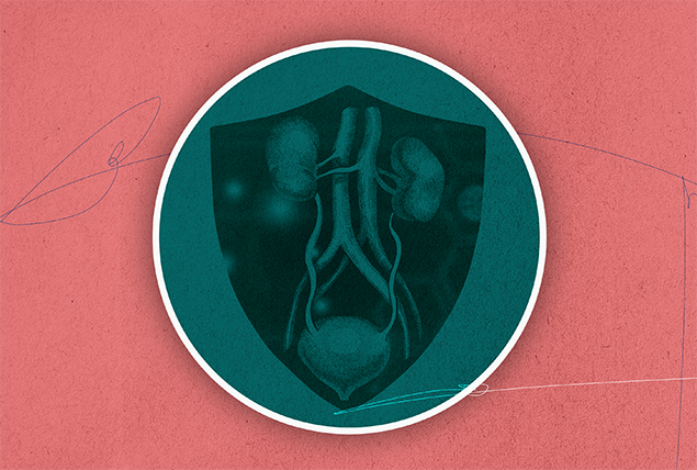 The inside of a male pelvic region is instead of a green circle against a coral background.