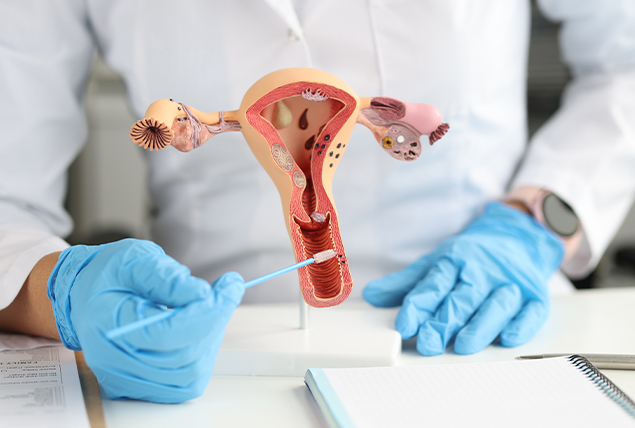 doctor with blue gloved hands points to Cervical opening on cervix model with pointer