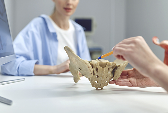 someone points to female pelvis model with pencil as patient sits on opposite side of table