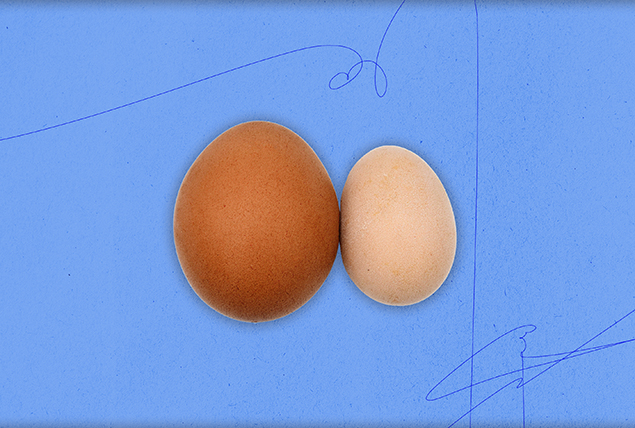 a small white egg next to a larger brown egg on light blue background
