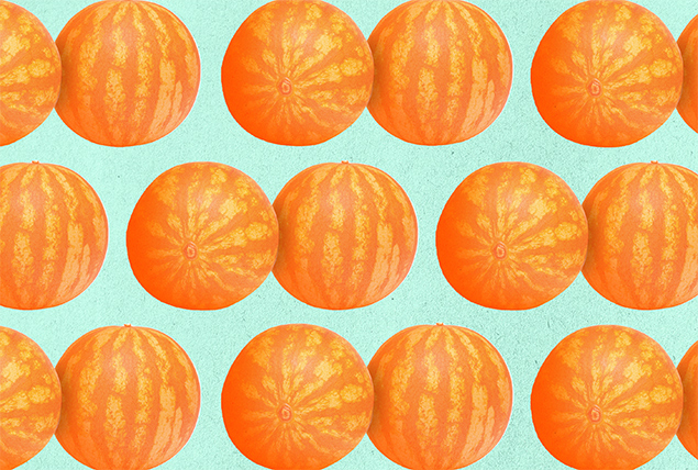 sets on orange melons on light green background