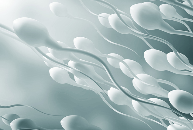 White sperm swim upwards against a greyish background.