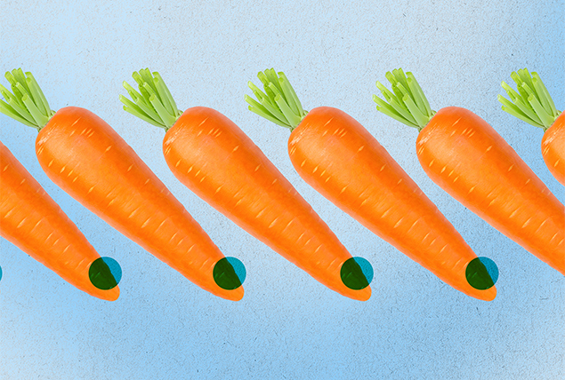 orange carrots with dark greens pots on tips on light blue background