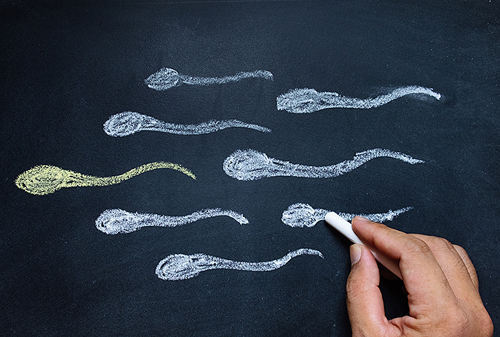 hand holding piece of chalk drawing sperm on blackboard