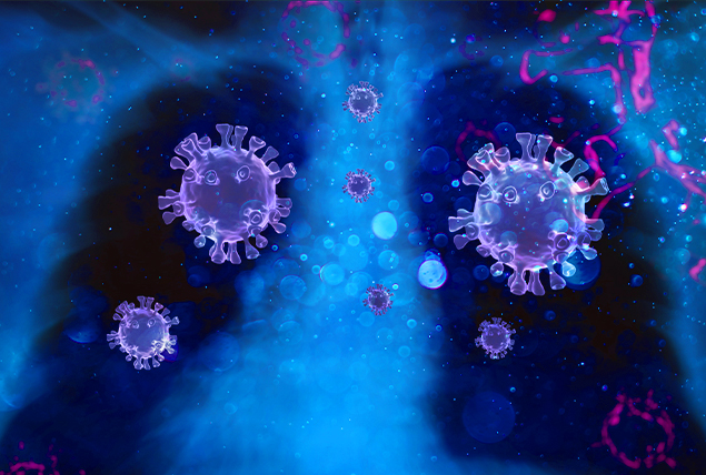 Large COVID-19 virus cells are placed inside an x-ray of the lungs.