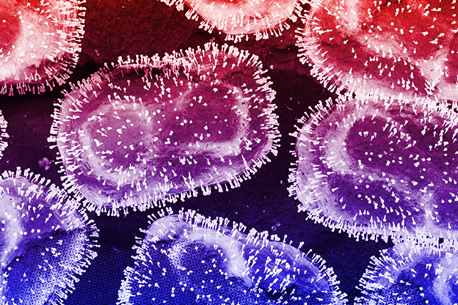 White monkeypox virus cells are overlayed with hues of red and blue.