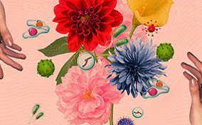 A bouquet of flowers is flanked by two hands.