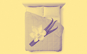 A-bed-against-yellow-background-with-vanilla-pods