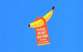 Do-no-disturb-sign-hangs-from-a-banana