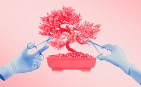 A pair of surgical gloves uses medical shears to trip a pink bonsai tree.