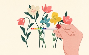 A-hand-holds-up-a-vaginal-ph-scale-against-flowers
