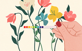 A-hand-holds-up-a-vaginal-ph-scale-against-flowers