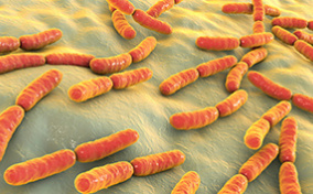 Various bacteria linked to aggressive prostate cancer are shown in orange.