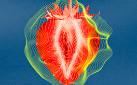 Half of a strawberry has yellow mesh over it against a blue background.