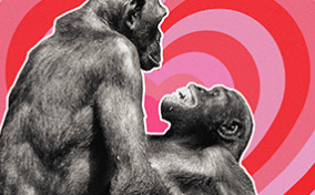 Two-monkey-in-front-of-pink-and-red-hearts