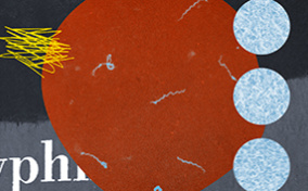 A book page about congenital syphilis.