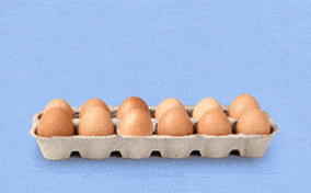 An egg lifts out of a carton and turns upside down.