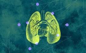 A yellow outline of the lungs and heart area is spotted with pink circles against a green background.