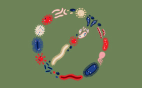 Various STD viruses form a circle with a line of through the middle.